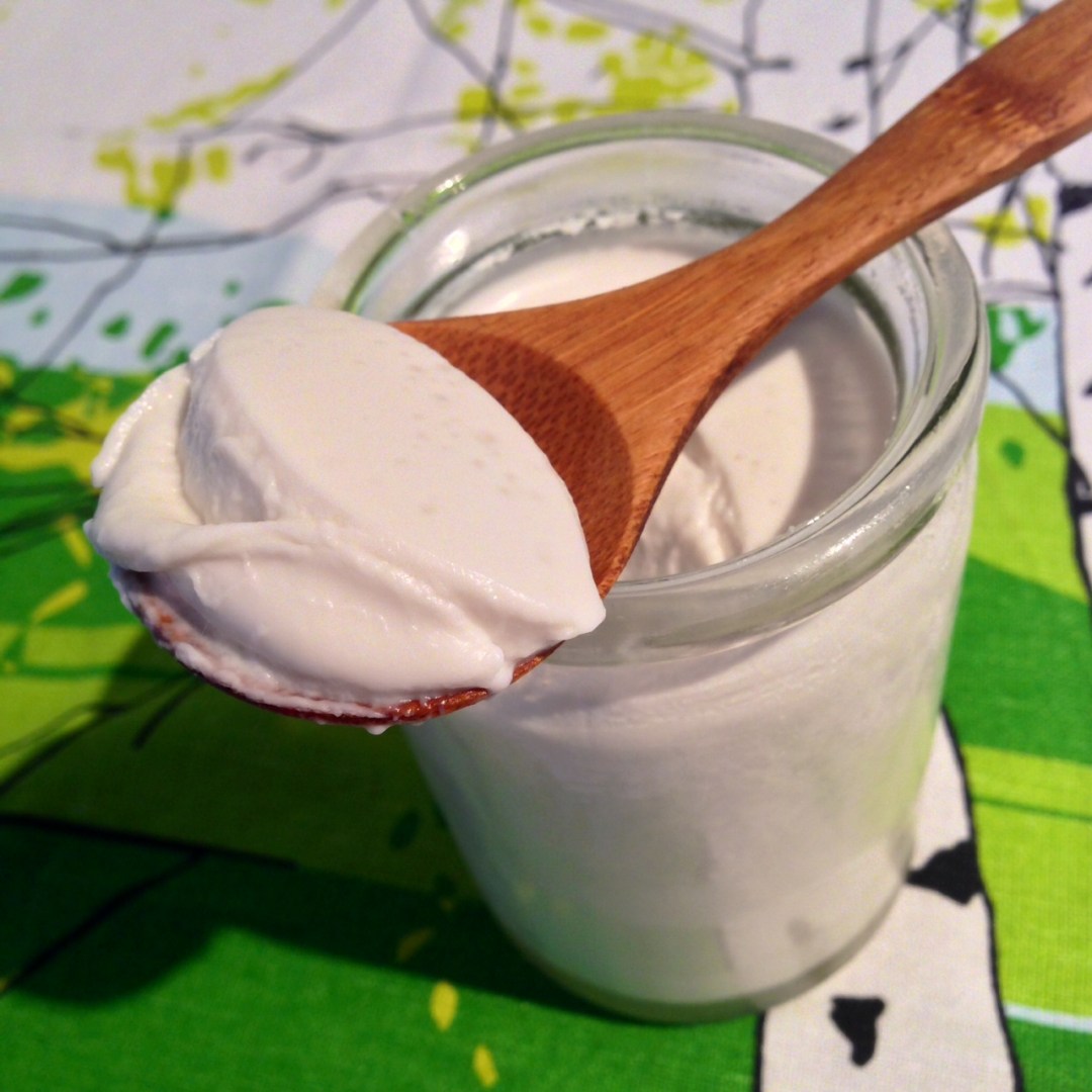 Homemade coconut yogurt recipe